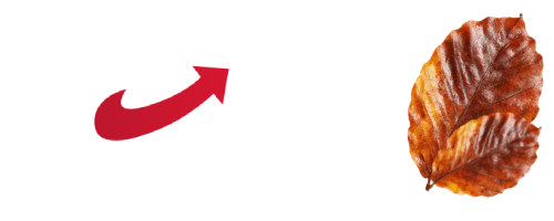 AfD Stadtverband Buchholz